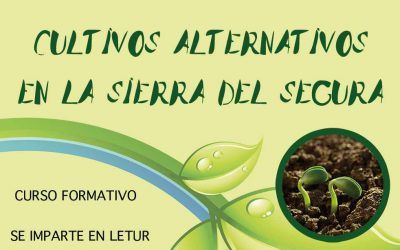 INSCRIPCIONES CURSOS FORMATIVOS