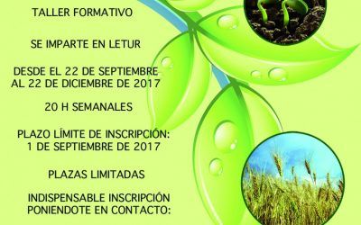 TALLERES FORMATIVOS