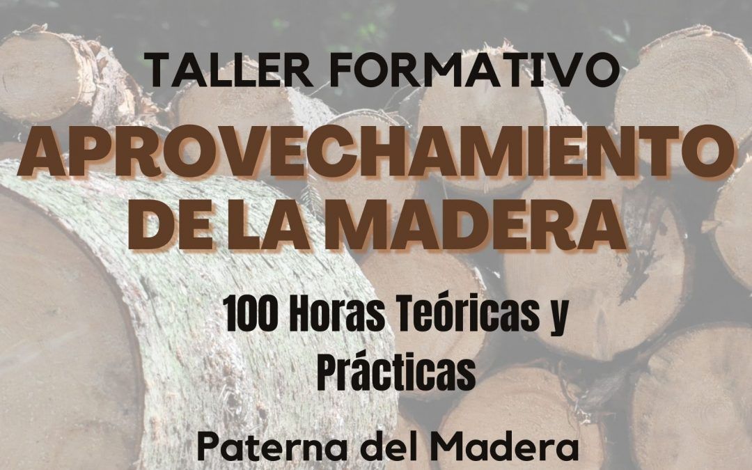 TALLER FORMATIVO APROVECHAMIENTO DE LA MADERA