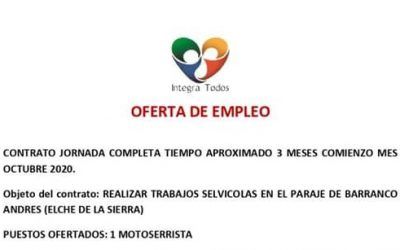 OFERTA DE EMPLEO DE MOTOSERRISTA
