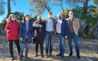 VALORACIÓN DE LOS TRABAJOS SELVÍCOLAS