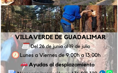 TALLER FORMATIVO «APROVECHAMIENTOS FORESTALES Y DESARROLLO RURAL»